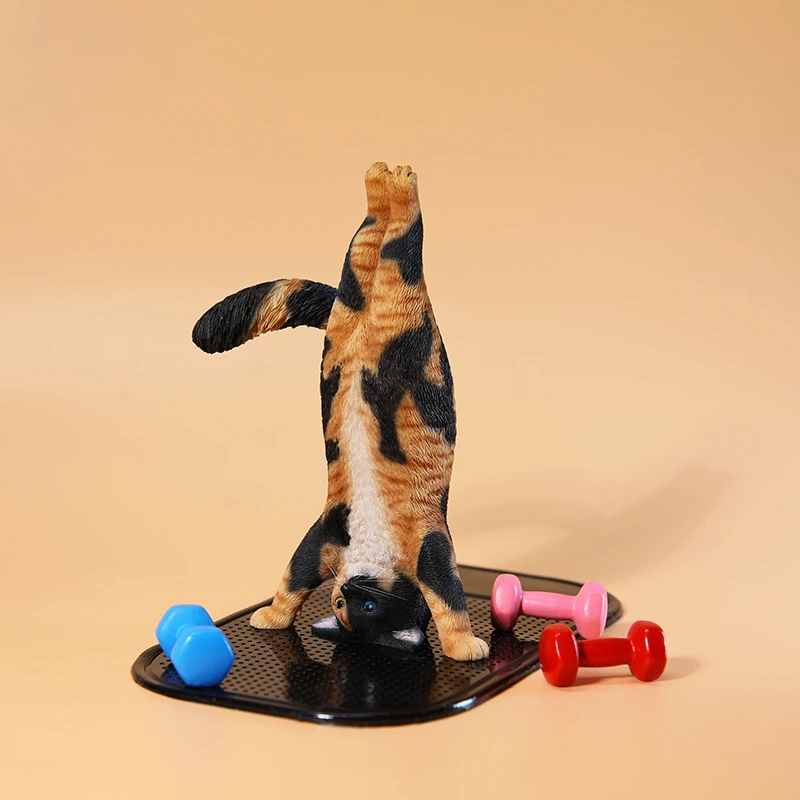 1/6 Yoga cat model simulation  - đánh giá và giá Yoga Fitness Model