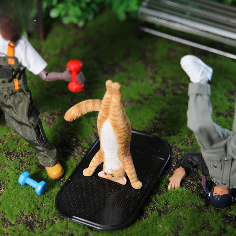 1/6 Yoga cat model simulation  - đánh giá và giá Yoga Fitness Model